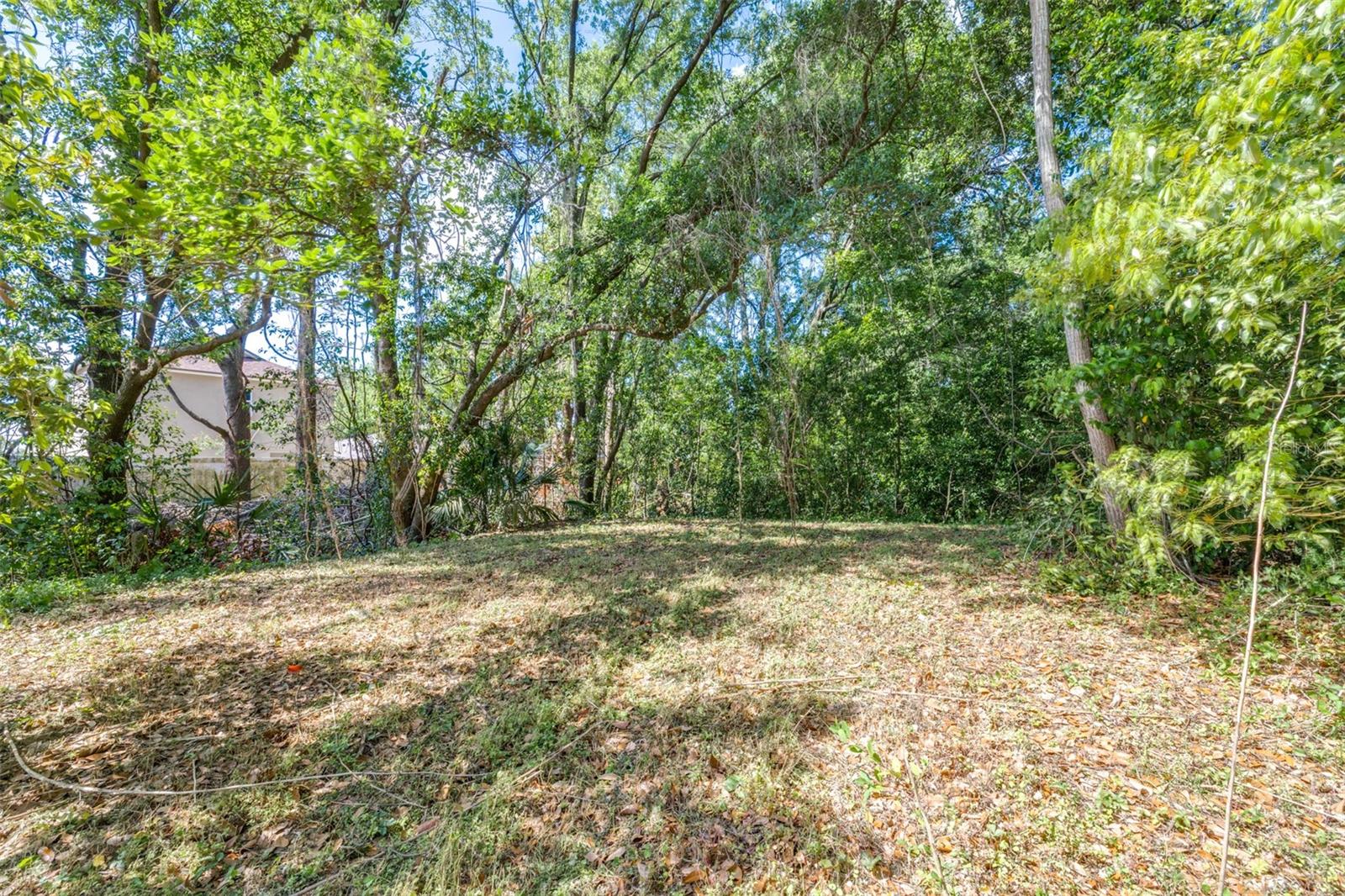 28616 TUPPER RD, WESLEY CHAPEL, FL, 33545