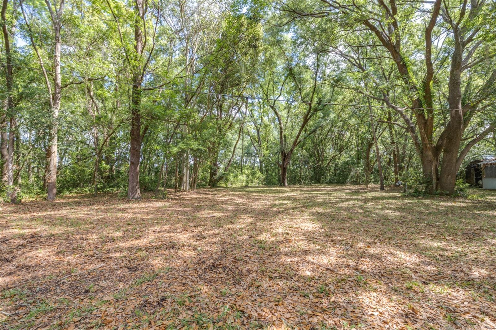 28616 TUPPER RD, WESLEY CHAPEL, FL, 33545