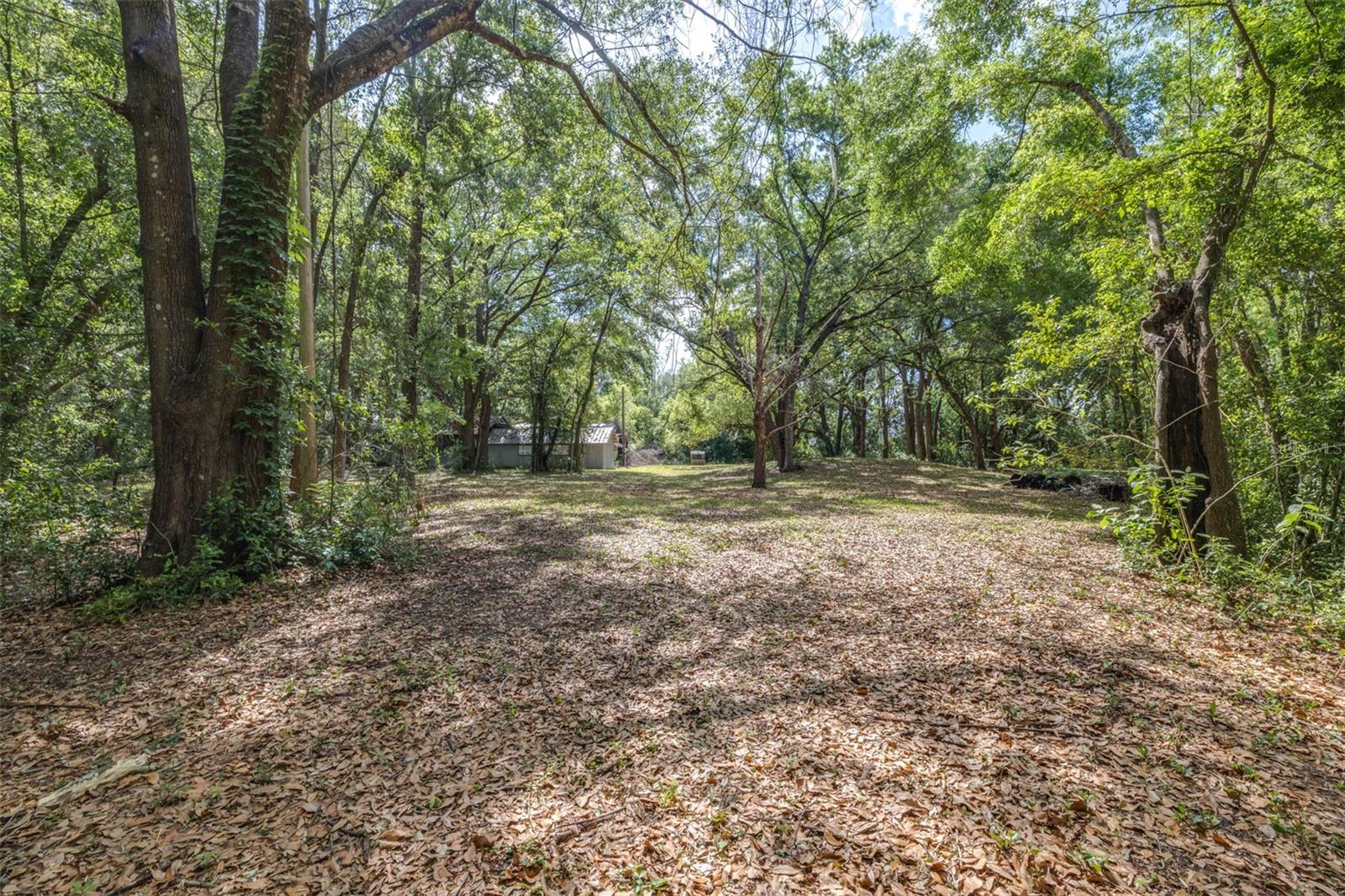 28616 TUPPER RD, WESLEY CHAPEL, FL, 33545