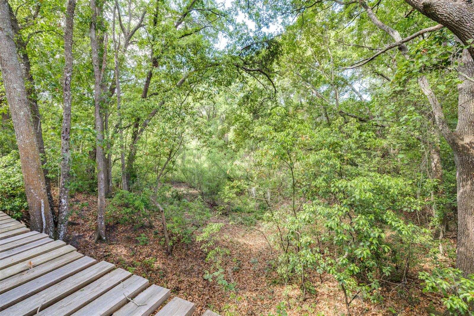 28616 TUPPER RD, WESLEY CHAPEL, FL, 33545
