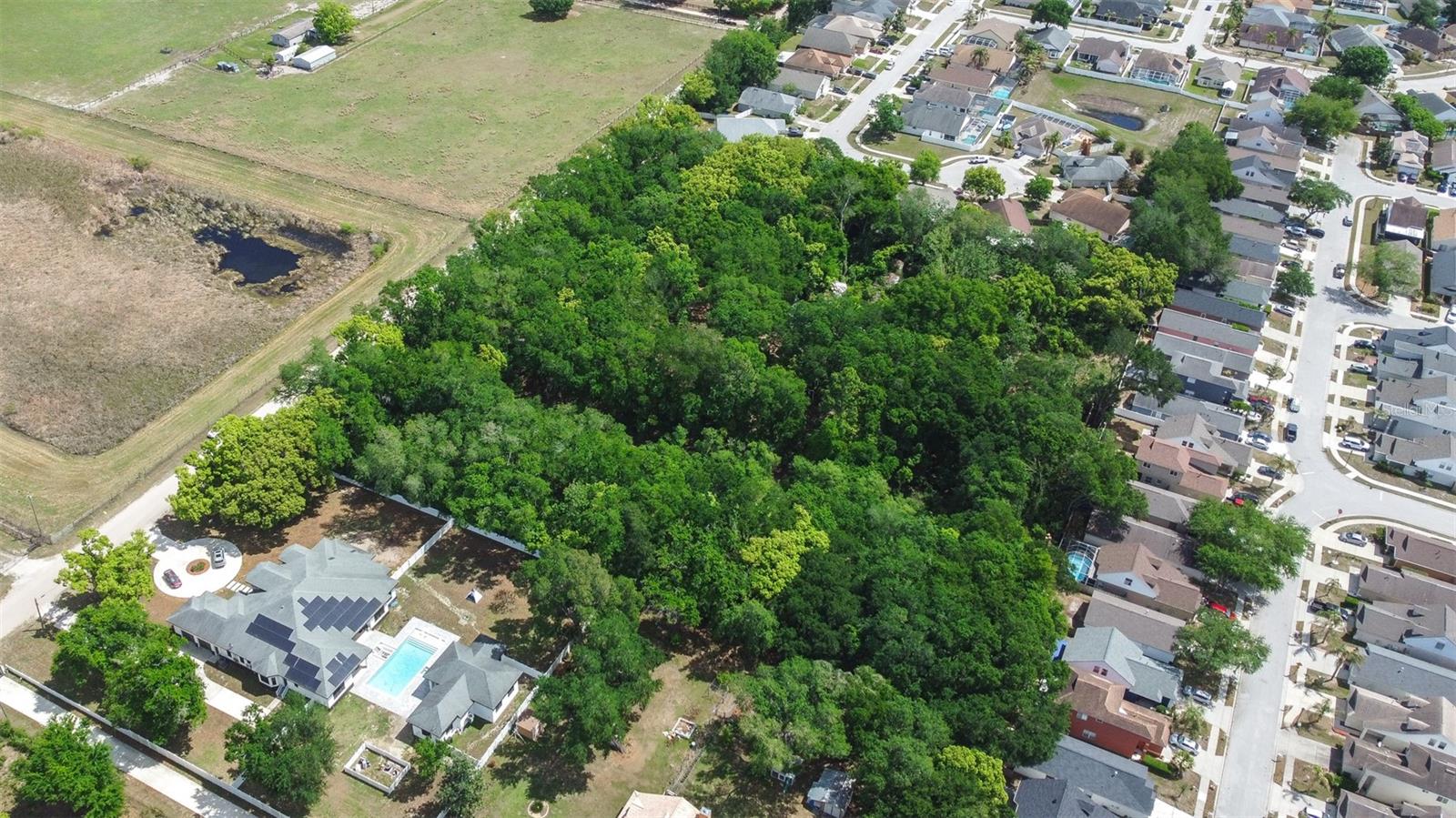 28616 TUPPER RD, WESLEY CHAPEL, FL, 33545