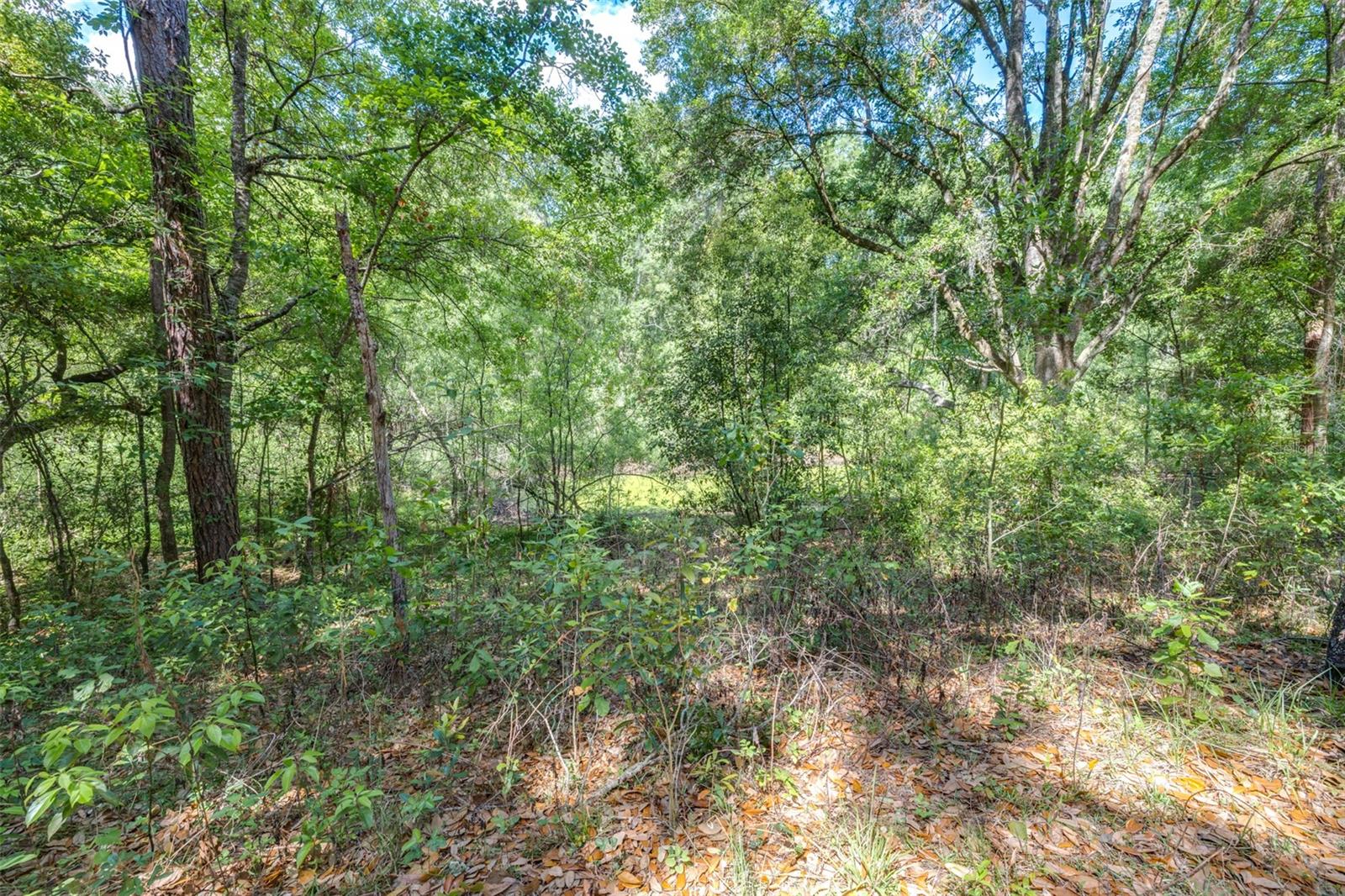 28616 TUPPER RD, WESLEY CHAPEL, FL, 33545