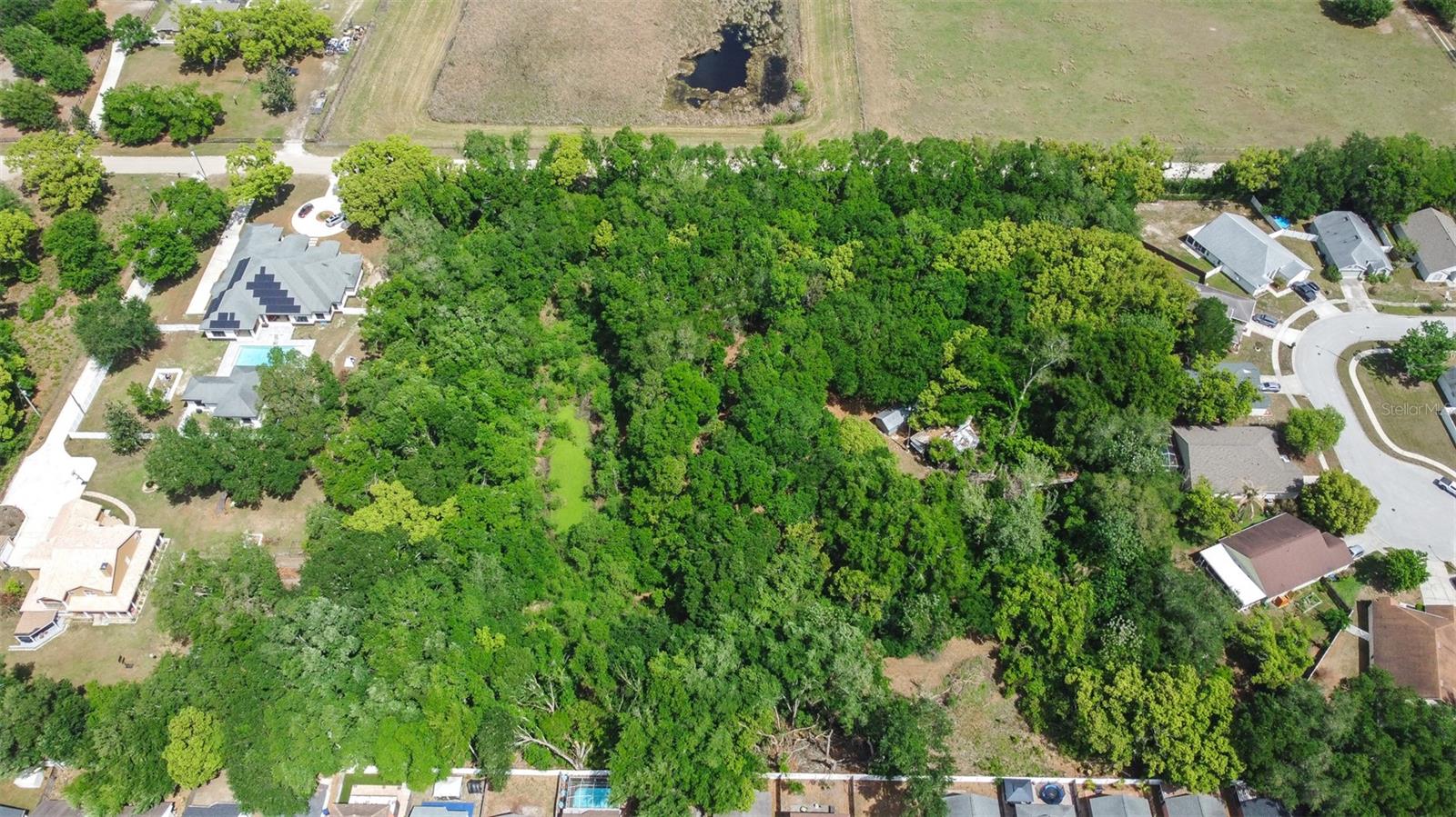 28616 TUPPER RD, WESLEY CHAPEL, FL, 33545