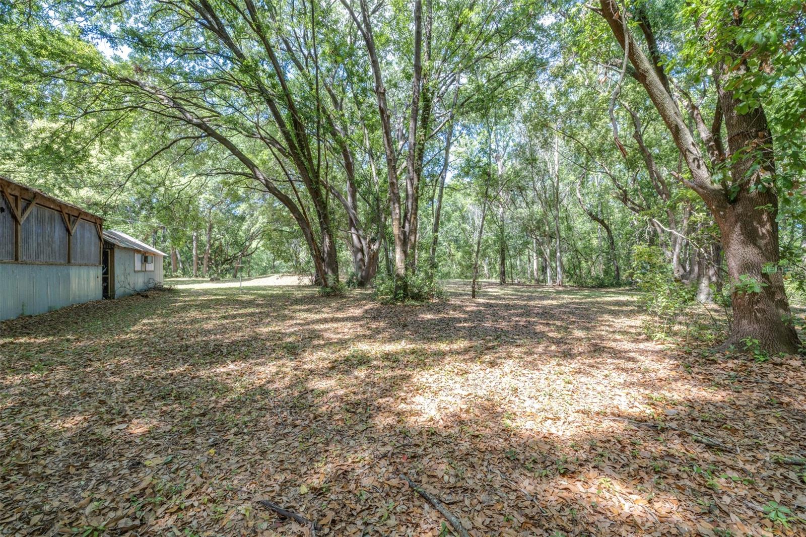 28616 TUPPER RD, WESLEY CHAPEL, FL, 33545