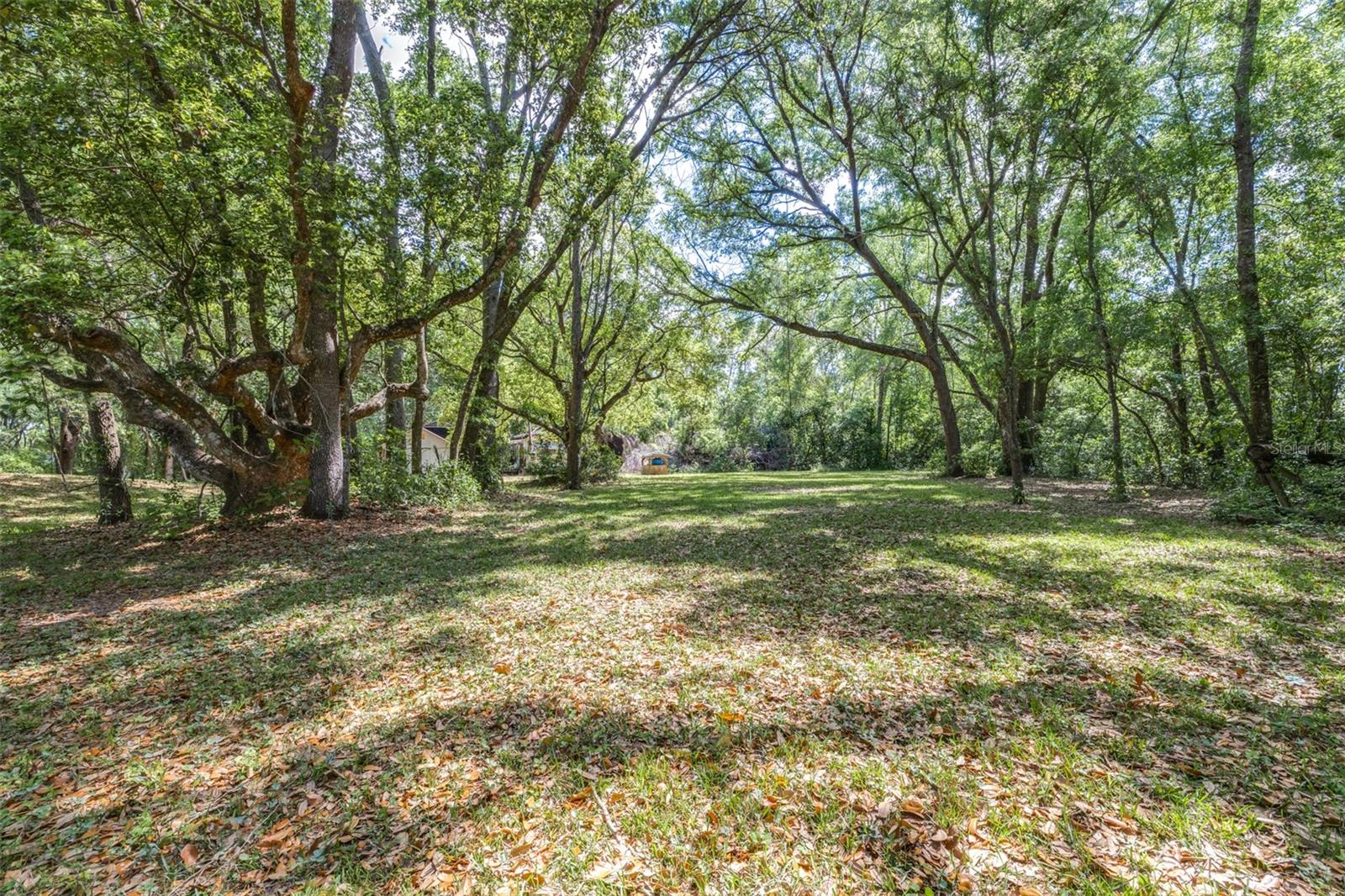 28616 TUPPER RD, WESLEY CHAPEL, FL, 33545
