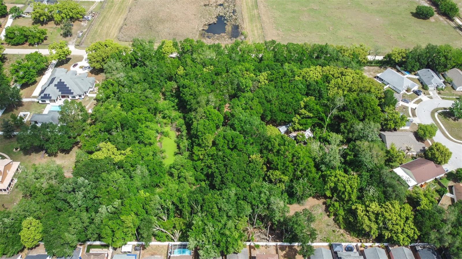 28616 TUPPER RD, WESLEY CHAPEL, FL, 33545