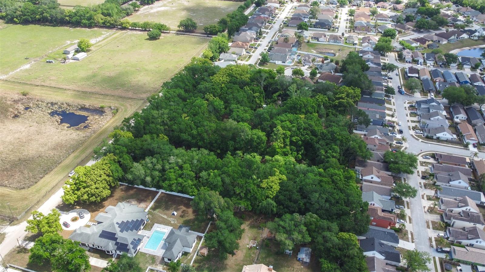 28616 TUPPER RD, WESLEY CHAPEL, FL, 33545