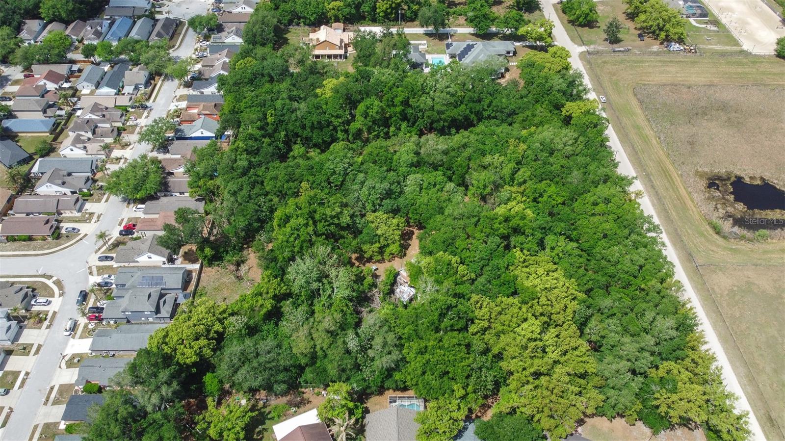 28616 TUPPER RD, WESLEY CHAPEL, FL, 33545