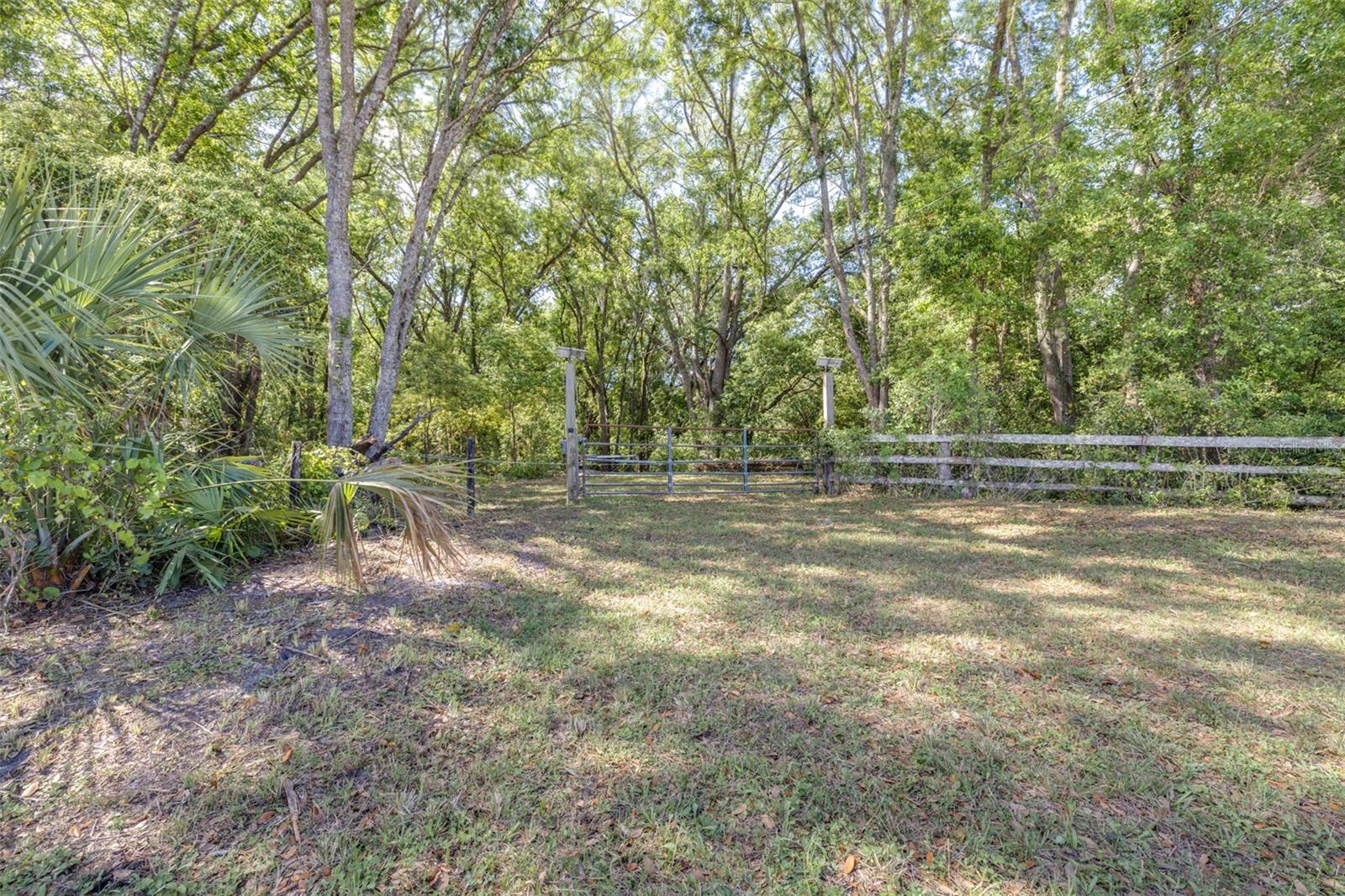 28616 TUPPER RD, WESLEY CHAPEL, FL, 33545
