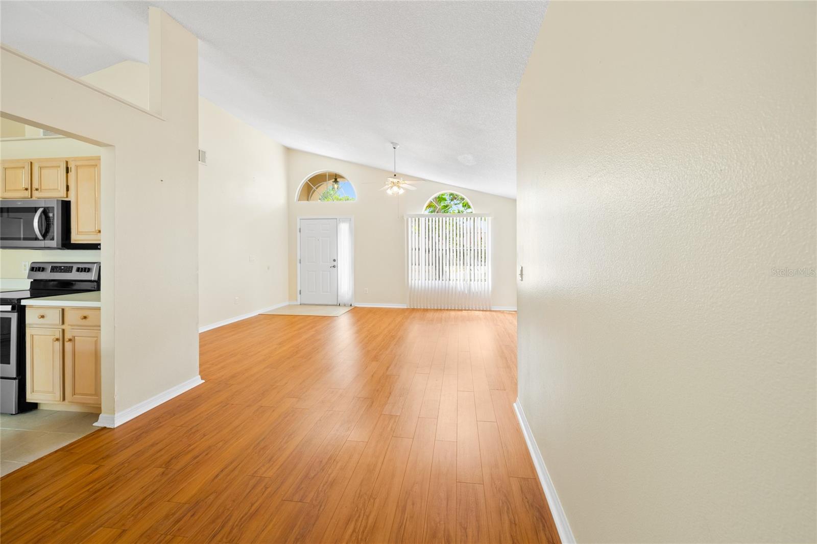 2419 MAYWOOD ST, EUSTIS, FL, 32726