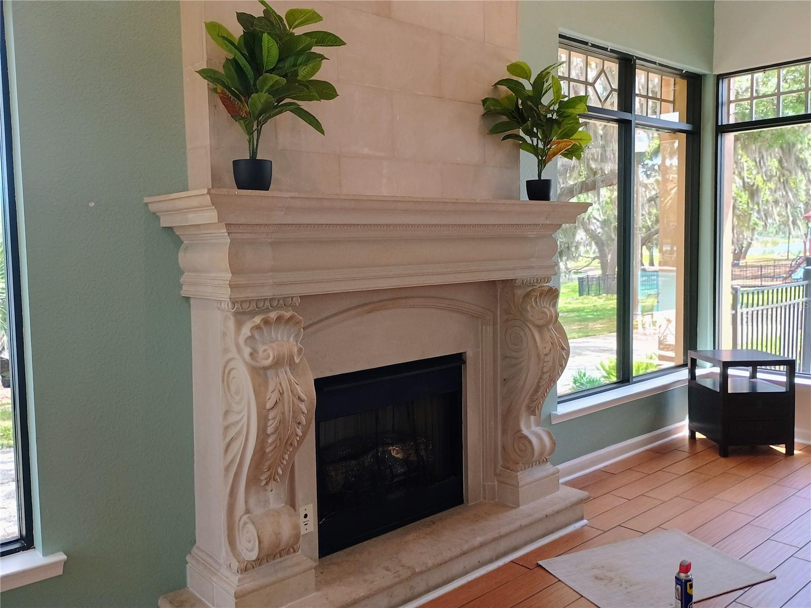 14084 BRIDGEWATER CROSSINGS BLVD, WINDERMERE, FL, 34786