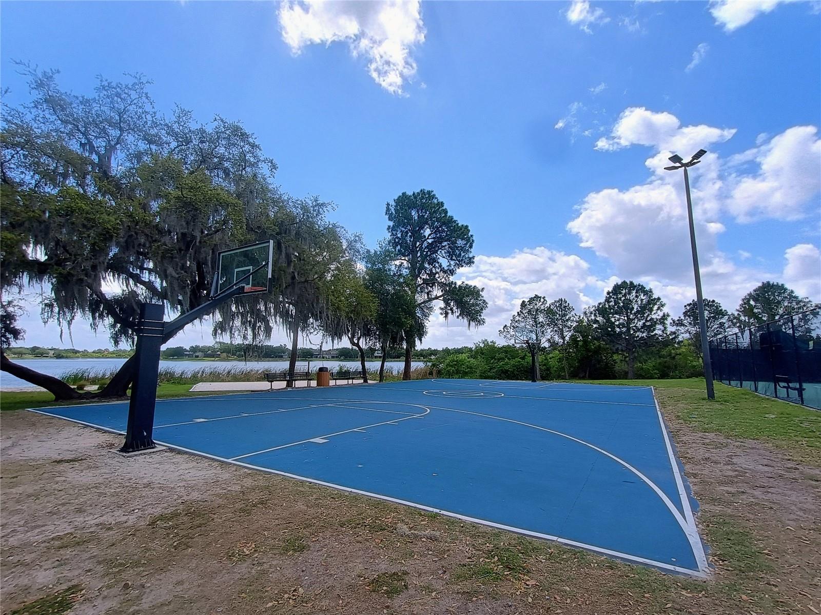 14084 BRIDGEWATER CROSSINGS BLVD, WINDERMERE, FL, 34786