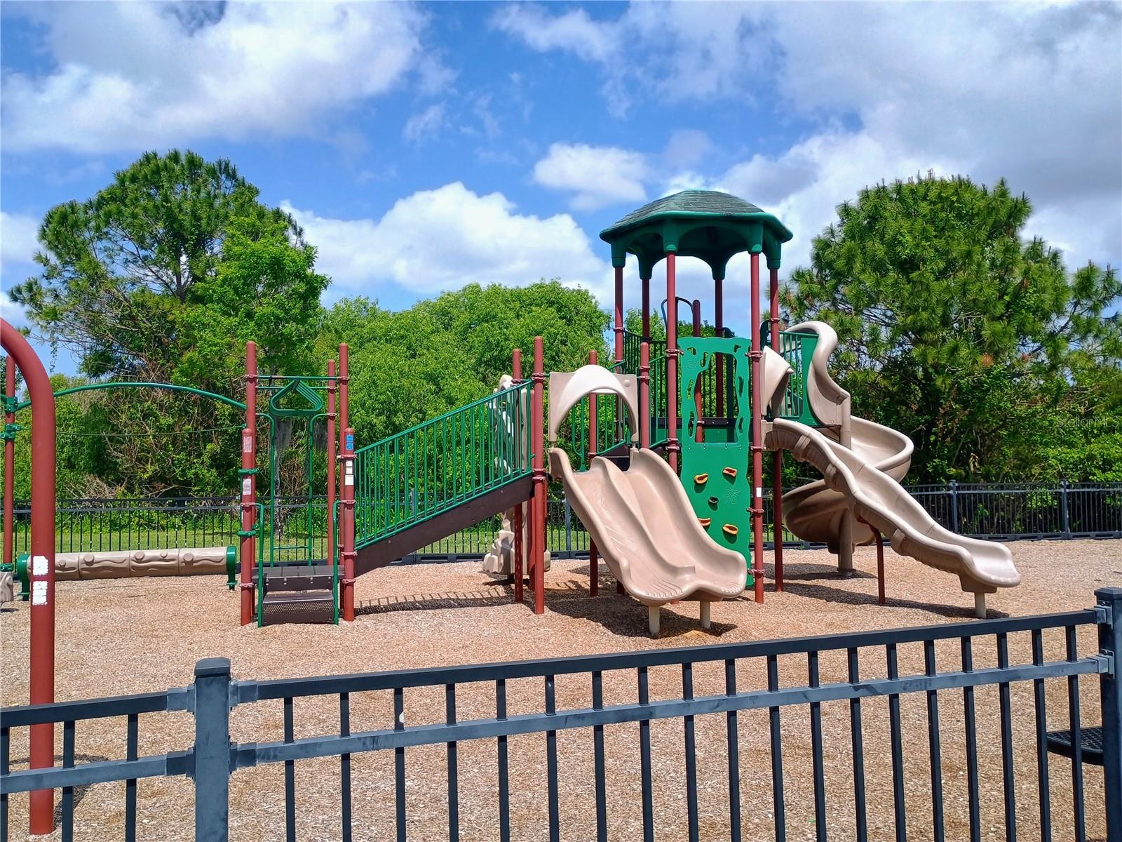 14084 BRIDGEWATER CROSSINGS BLVD, WINDERMERE, FL, 34786