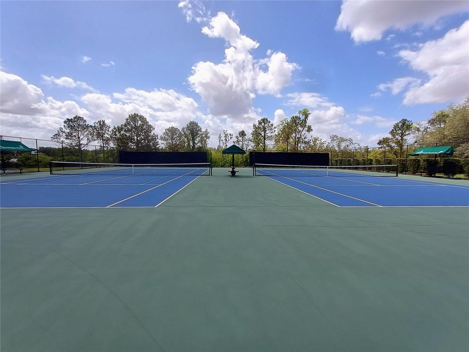 14084 BRIDGEWATER CROSSINGS BLVD, WINDERMERE, FL, 34786