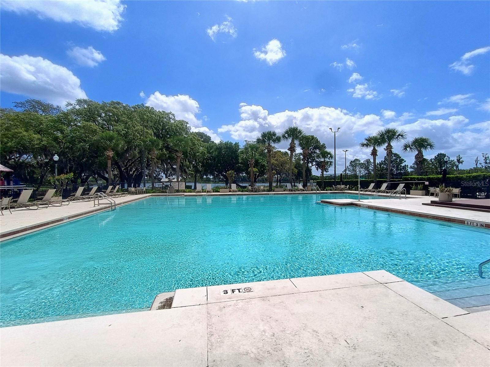 14084 BRIDGEWATER CROSSINGS BLVD, WINDERMERE, FL, 34786