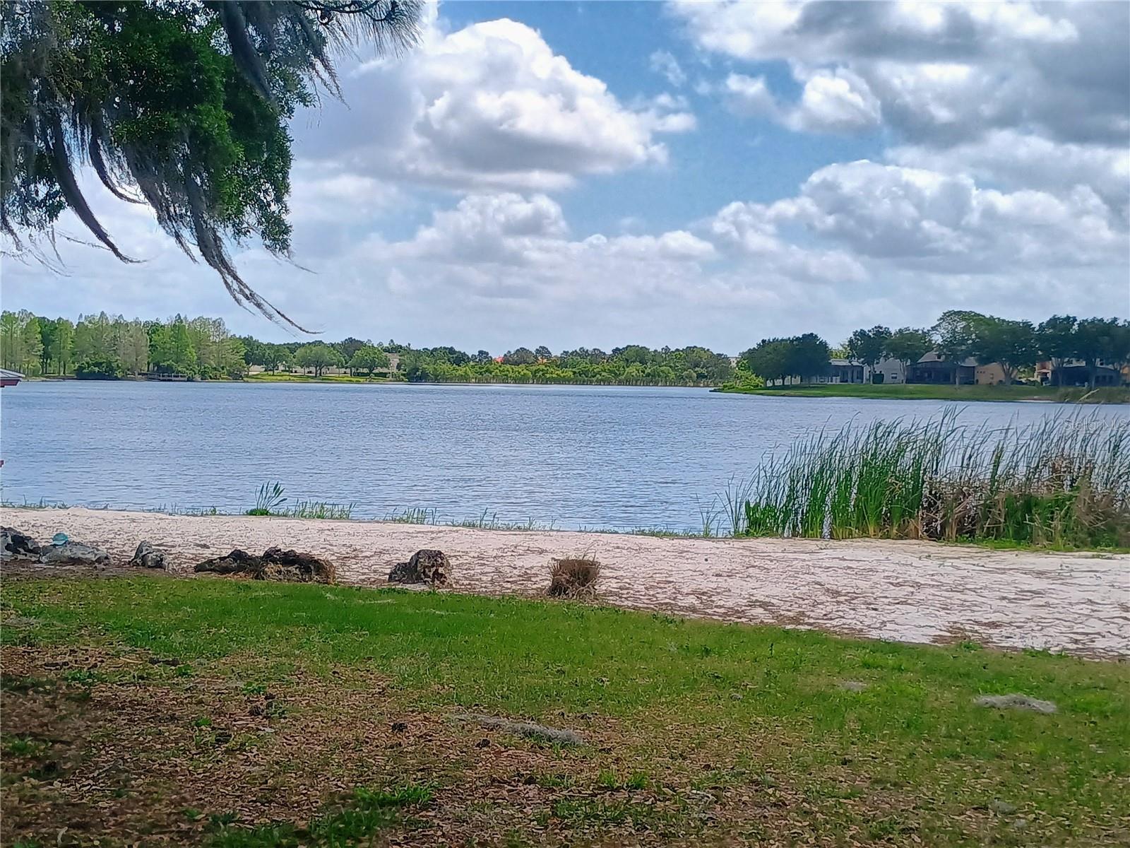 14084 BRIDGEWATER CROSSINGS BLVD, WINDERMERE, FL, 34786