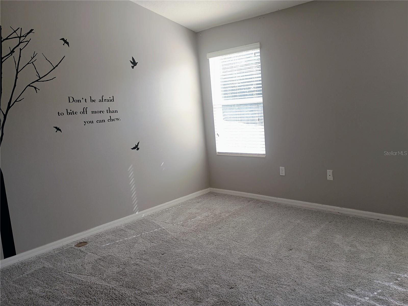 14084 BRIDGEWATER CROSSINGS BLVD, WINDERMERE, FL, 34786