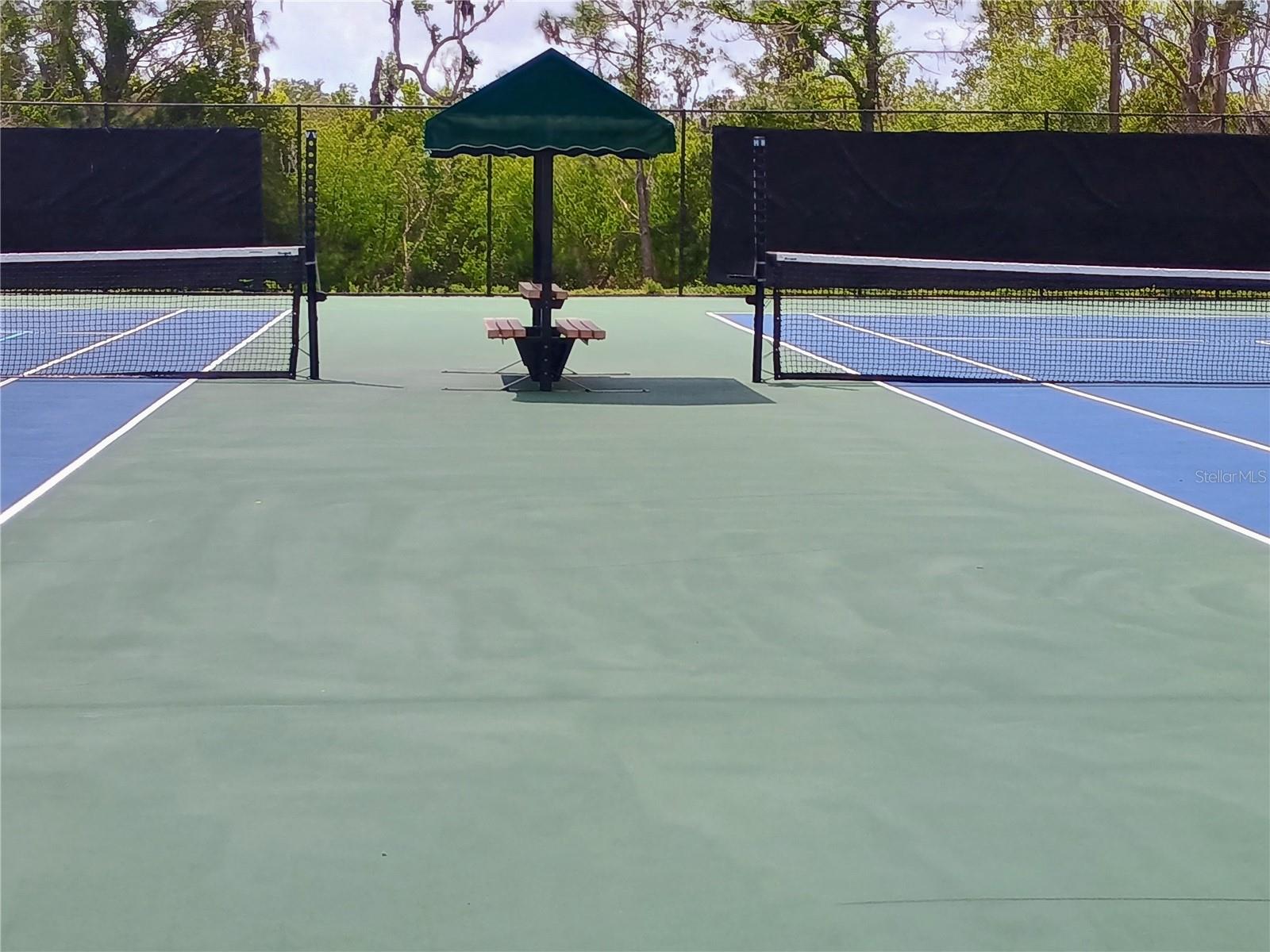 14084 BRIDGEWATER CROSSINGS BLVD, WINDERMERE, FL, 34786