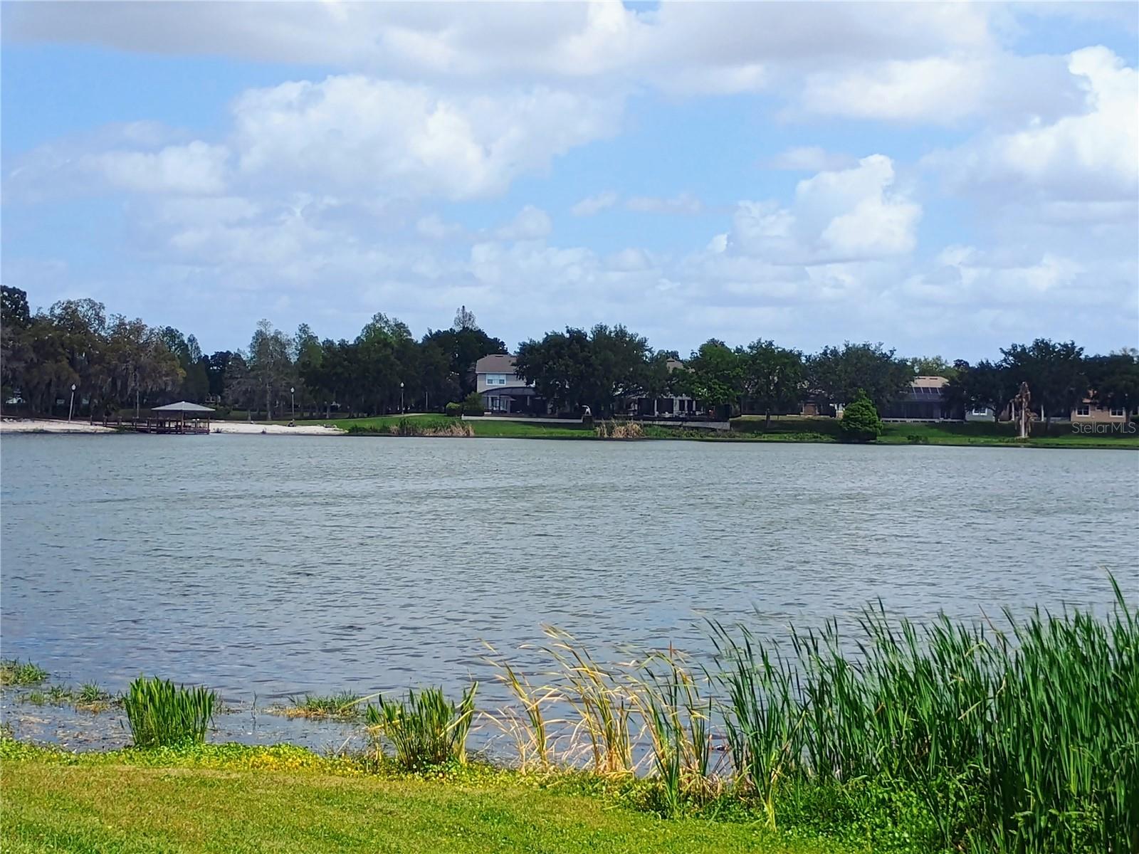 14084 BRIDGEWATER CROSSINGS BLVD, WINDERMERE, FL, 34786