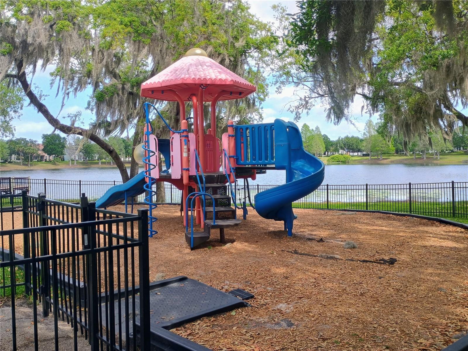 14084 BRIDGEWATER CROSSINGS BLVD, WINDERMERE, FL, 34786