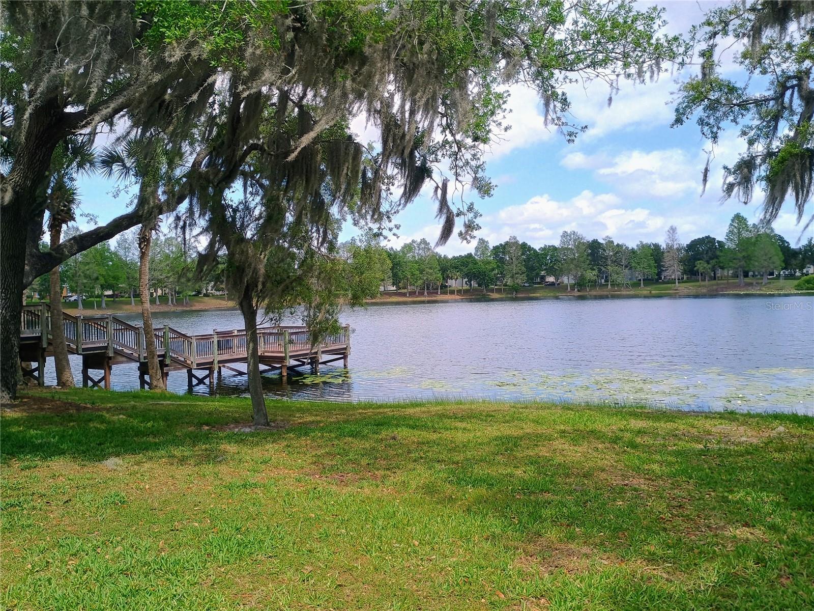 14084 BRIDGEWATER CROSSINGS BLVD, WINDERMERE, FL, 34786