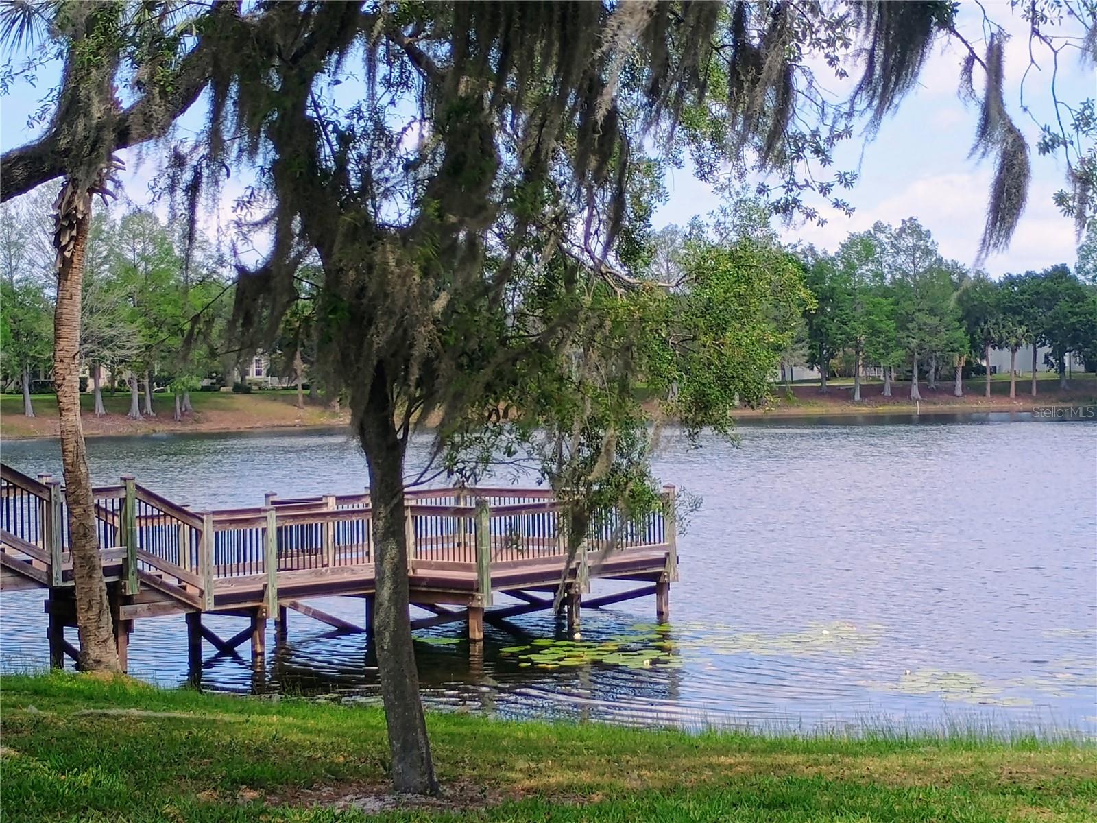 14084 BRIDGEWATER CROSSINGS BLVD, WINDERMERE, FL, 34786