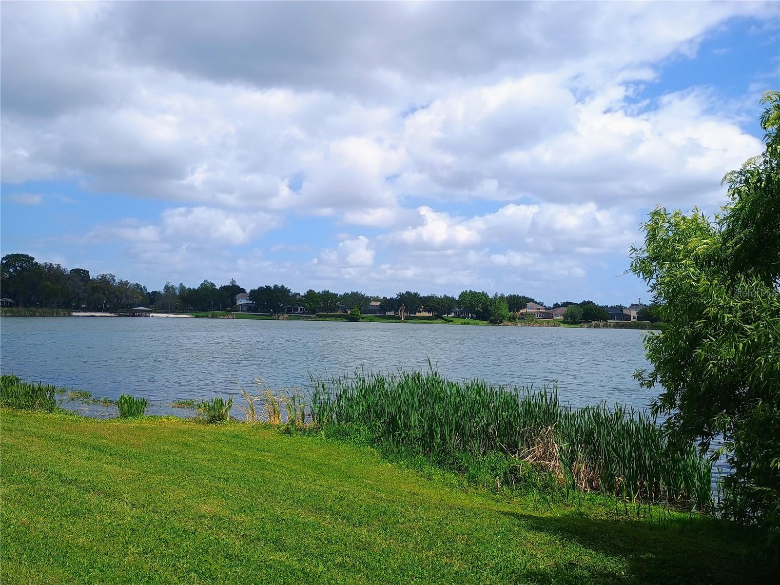 14084 BRIDGEWATER CROSSINGS BLVD, WINDERMERE, FL, 34786