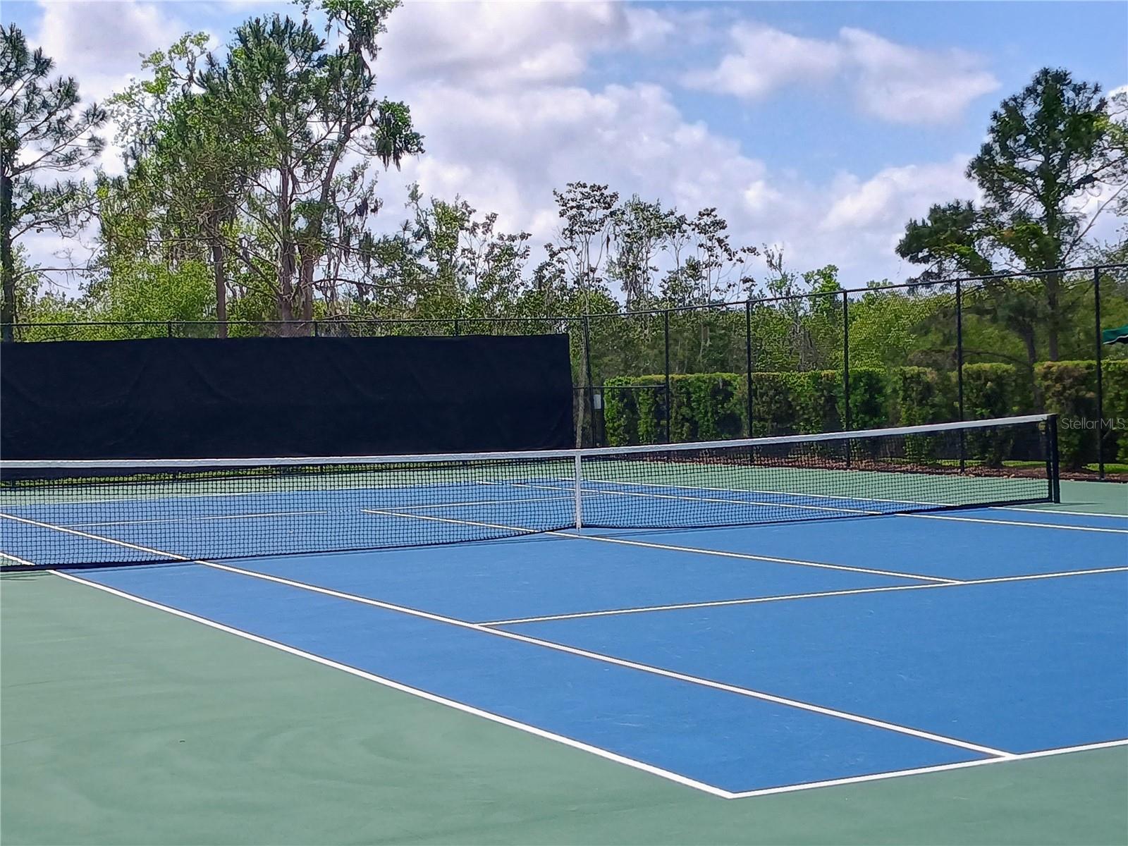 14084 BRIDGEWATER CROSSINGS BLVD, WINDERMERE, FL, 34786