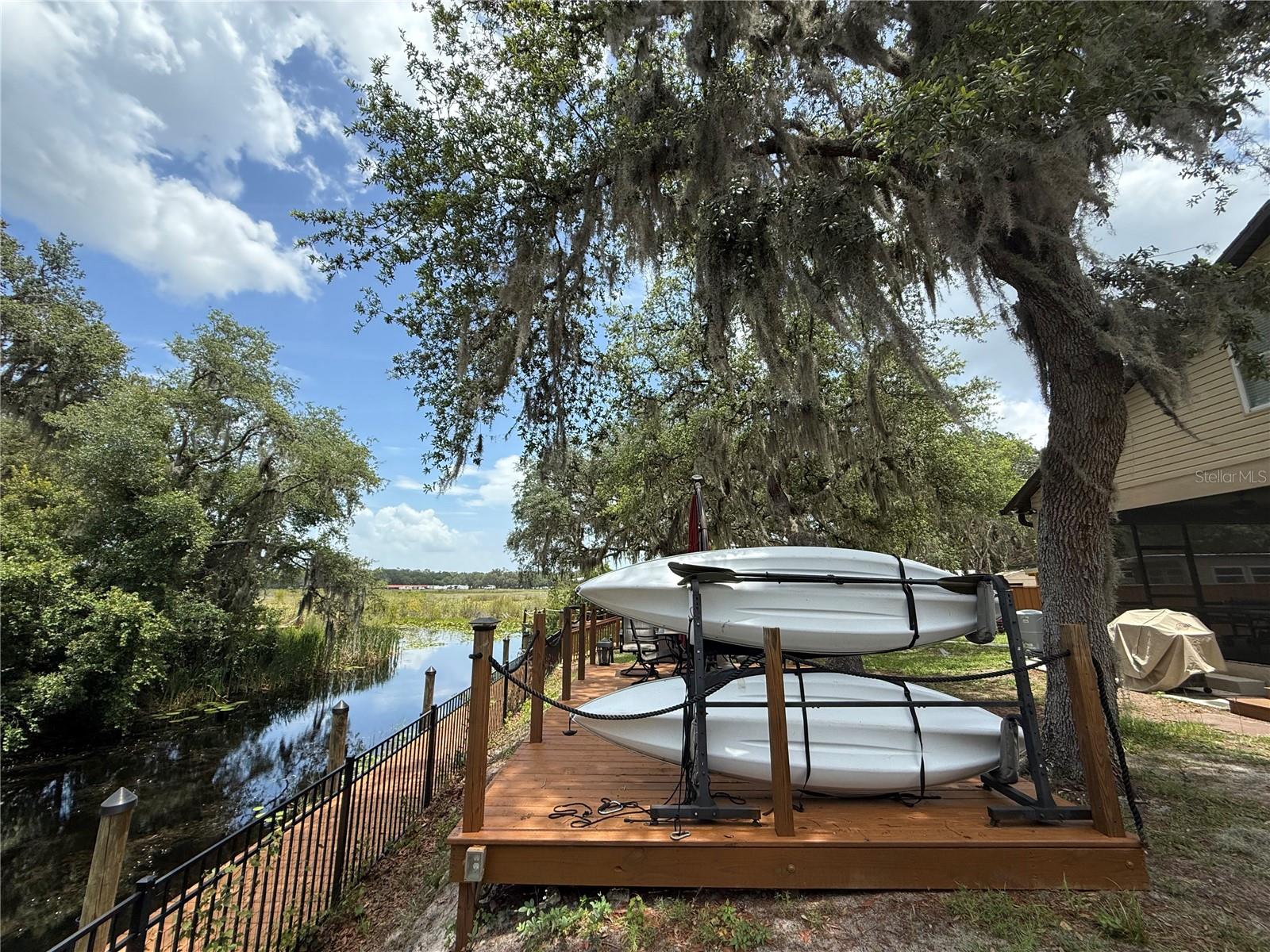 24907 NE 135TH ST, SALT SPRINGS, FL, 32134
