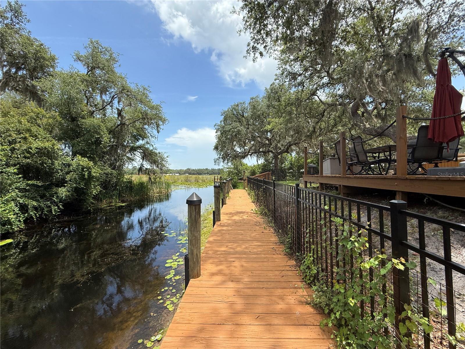 24907 NE 135TH ST, SALT SPRINGS, FL, 32134