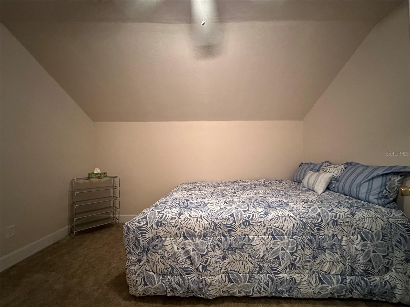24907 NE 135TH ST, SALT SPRINGS, FL, 32134