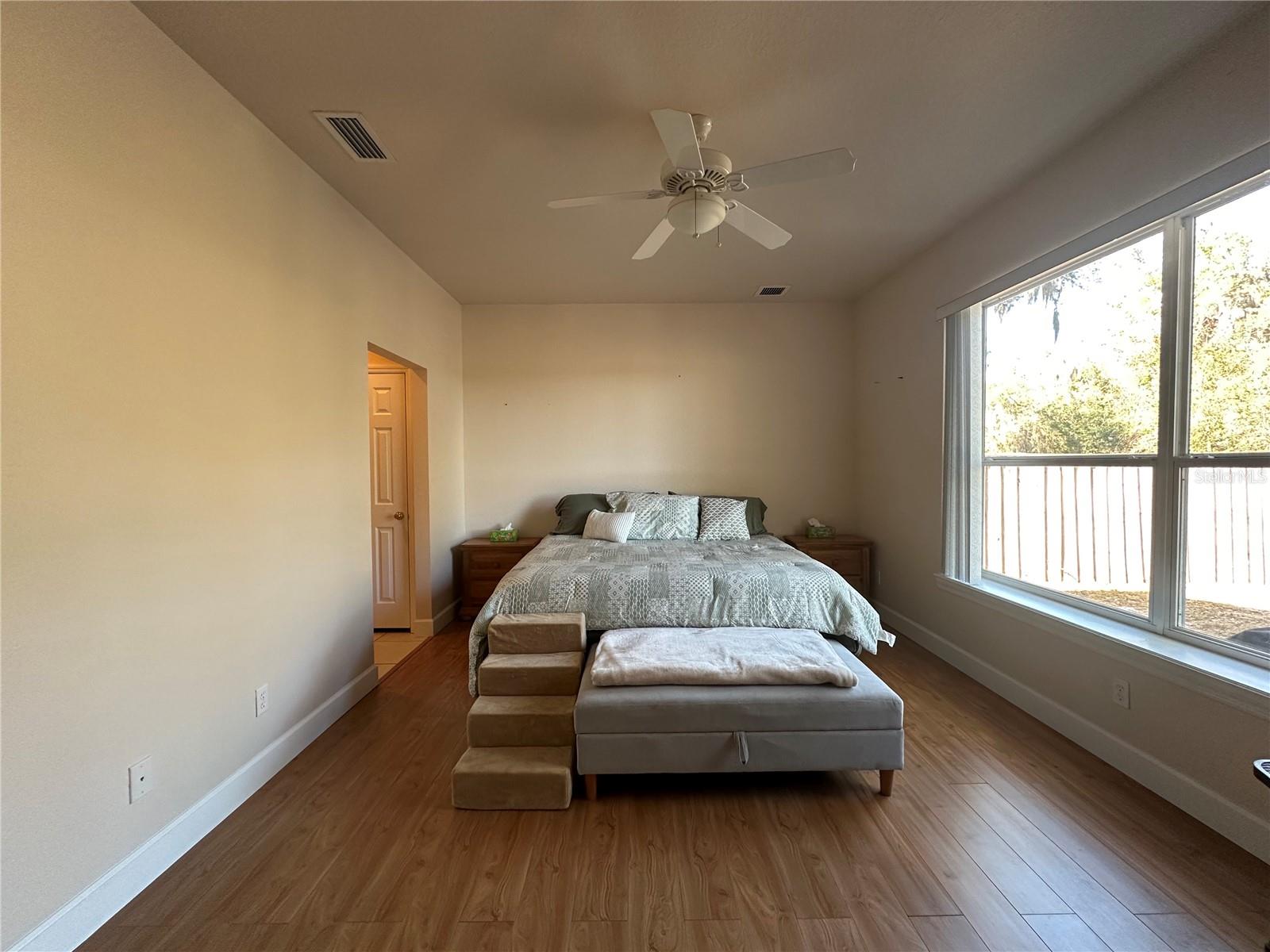 24907 NE 135TH ST, SALT SPRINGS, FL, 32134