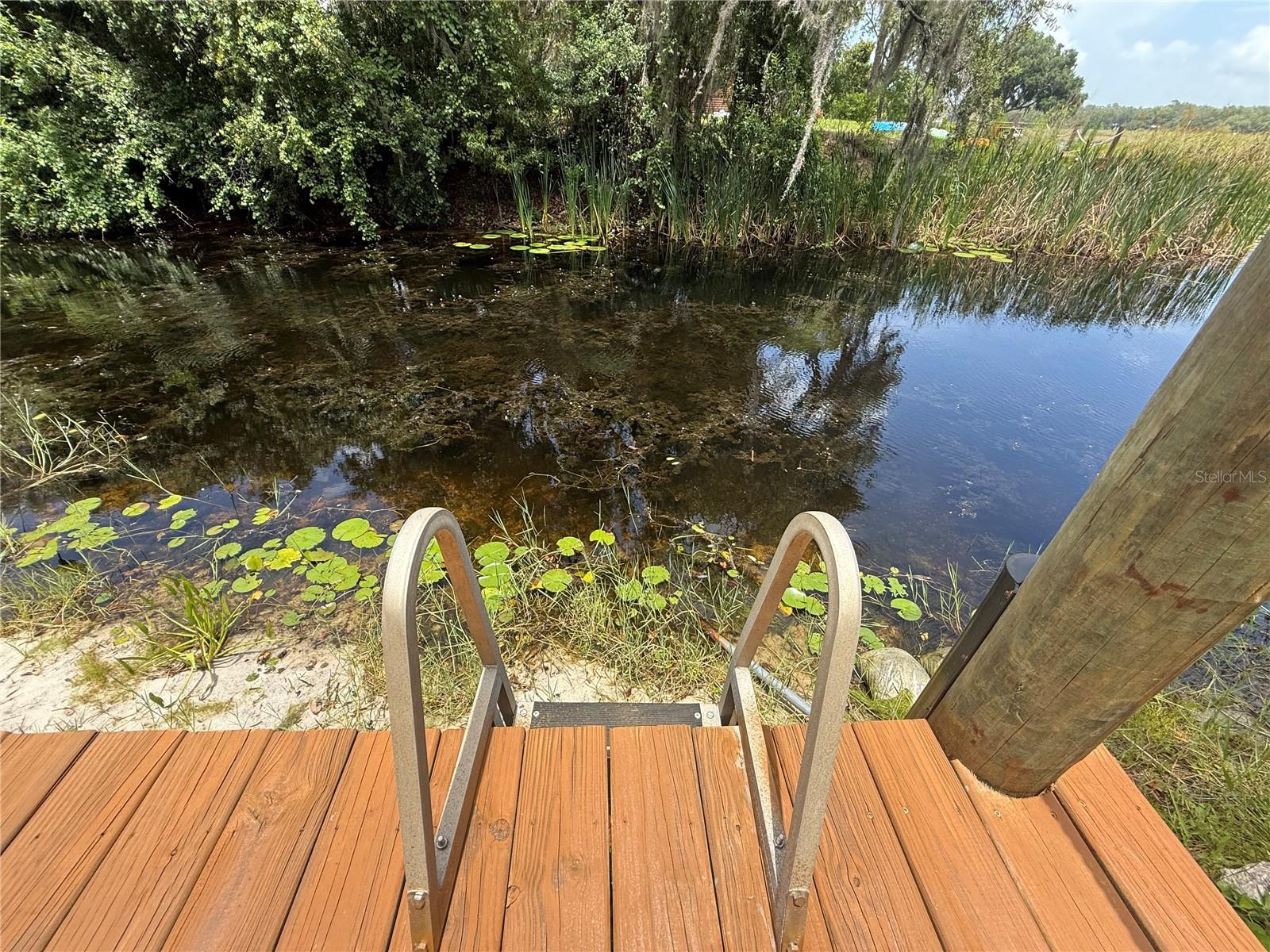 24907 NE 135TH ST, SALT SPRINGS, FL, 32134