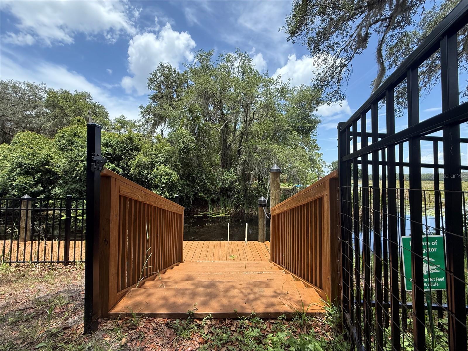 24907 NE 135TH ST, SALT SPRINGS, FL, 32134