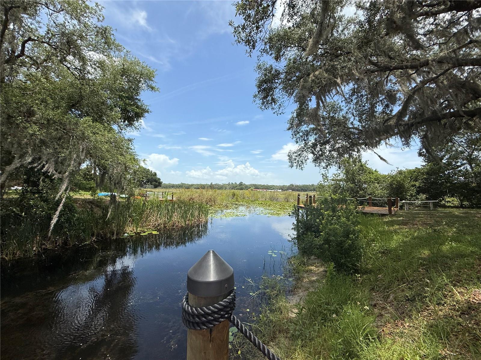 24907 NE 135TH ST, SALT SPRINGS, FL, 32134