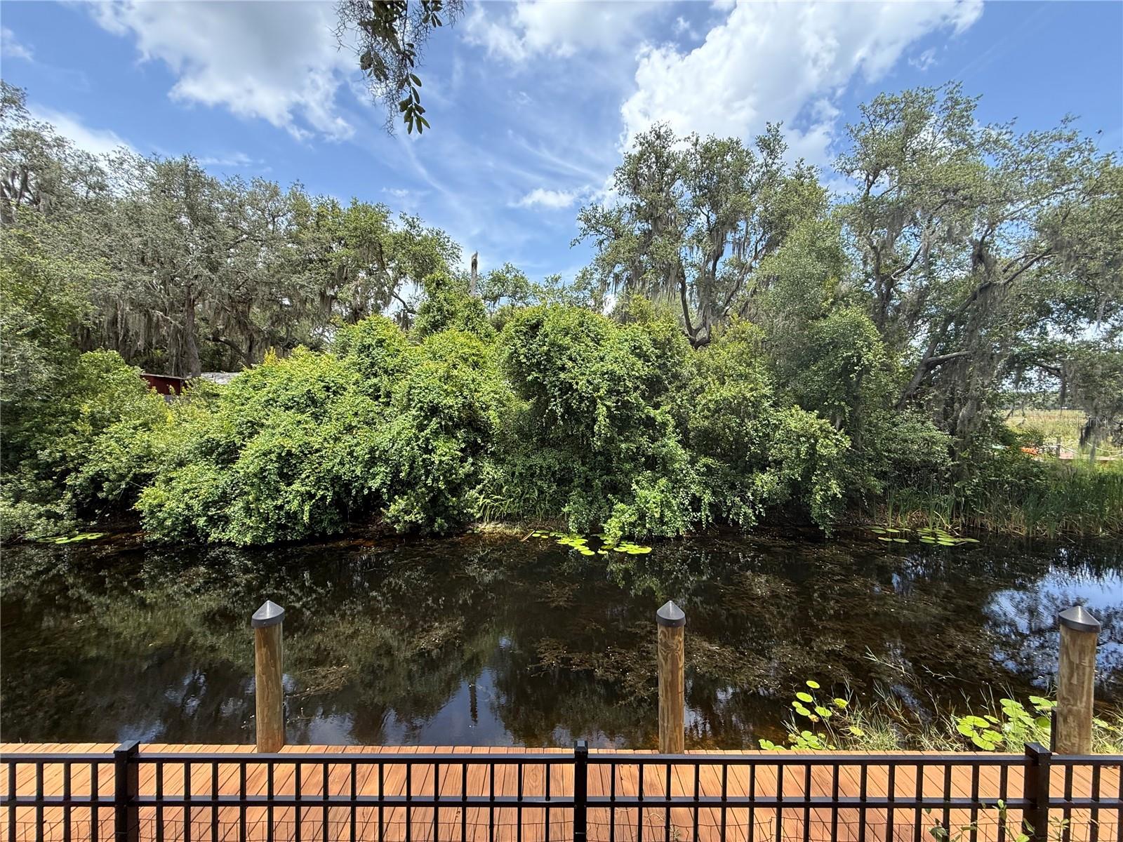 24907 NE 135TH ST, SALT SPRINGS, FL, 32134