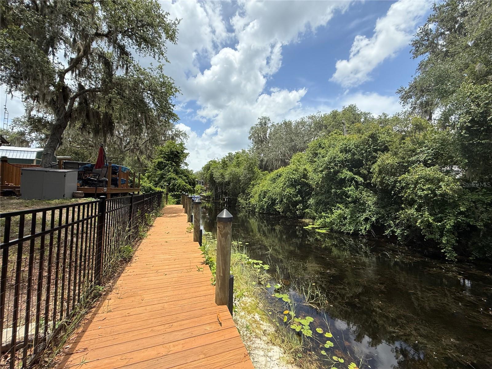 24907 NE 135TH ST, SALT SPRINGS, FL, 32134