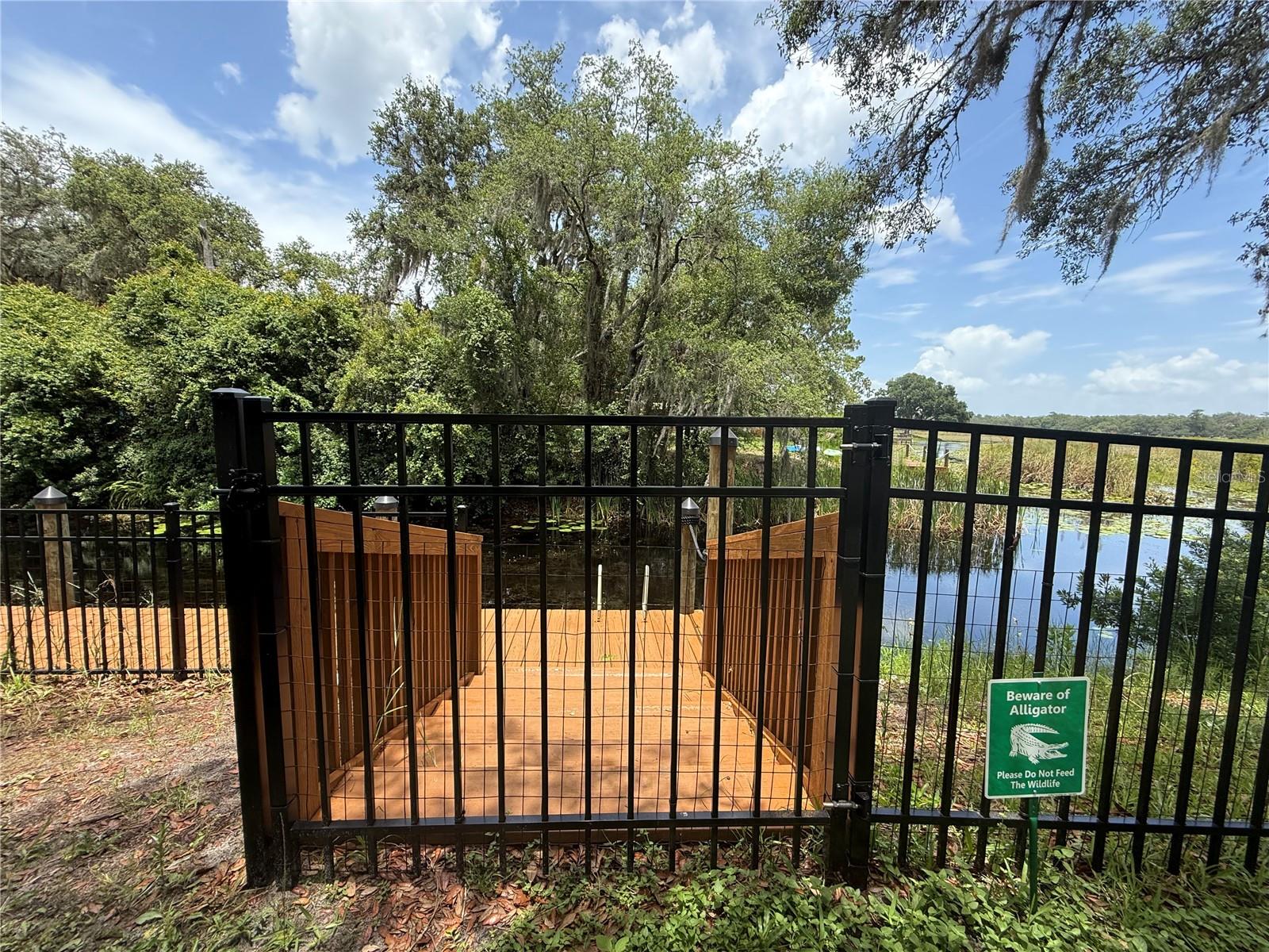24907 NE 135TH ST, SALT SPRINGS, FL, 32134