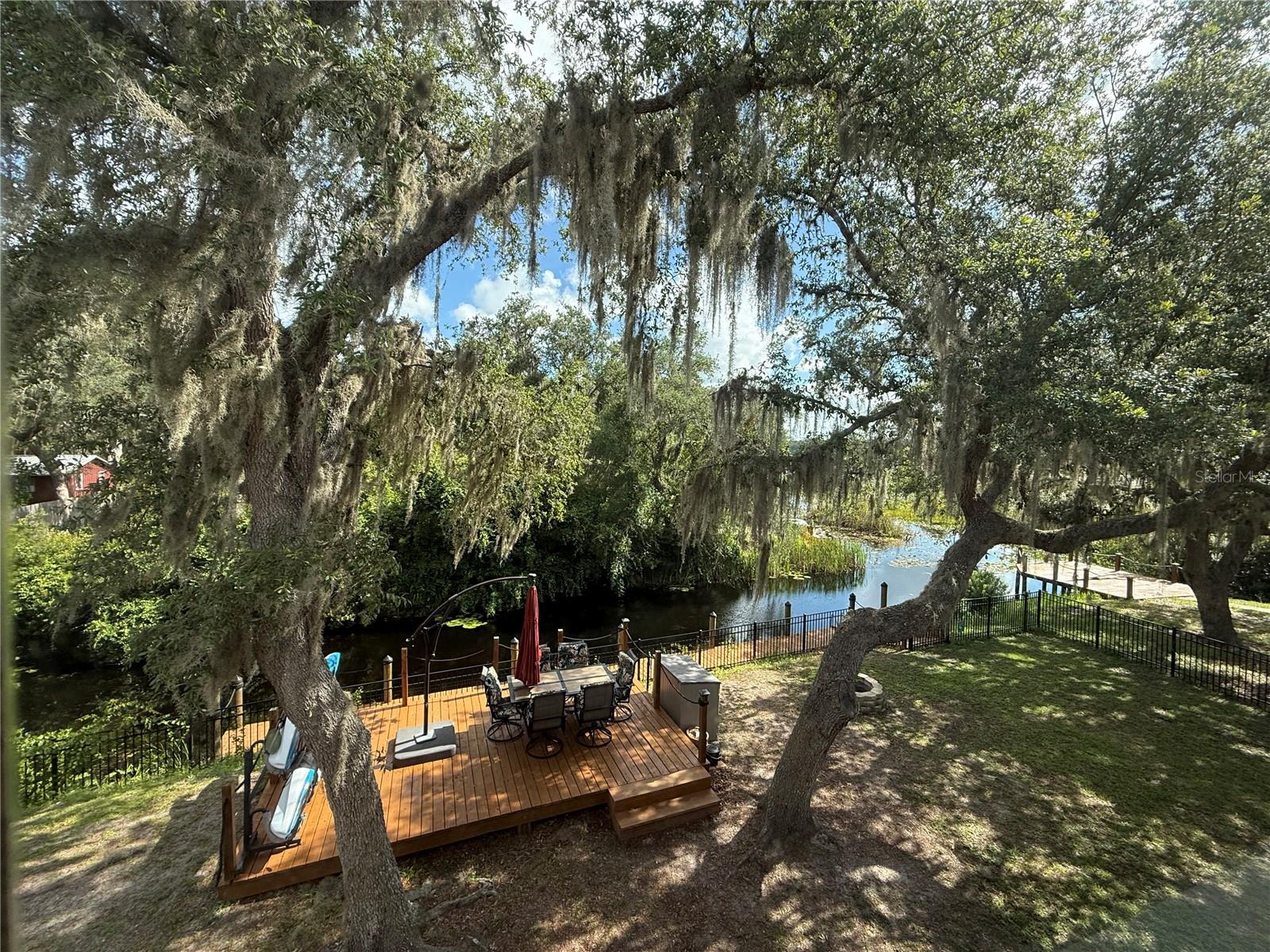 24907 NE 135TH ST, SALT SPRINGS, FL, 32134