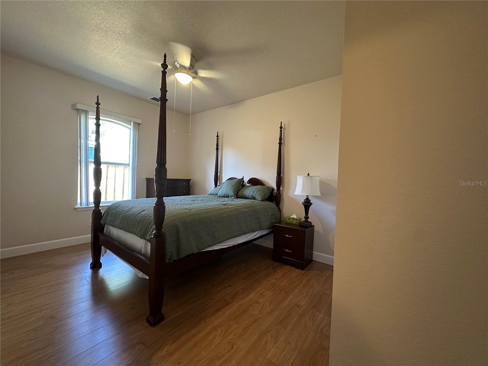 24907 NE 135TH ST, SALT SPRINGS, FL, 32134
