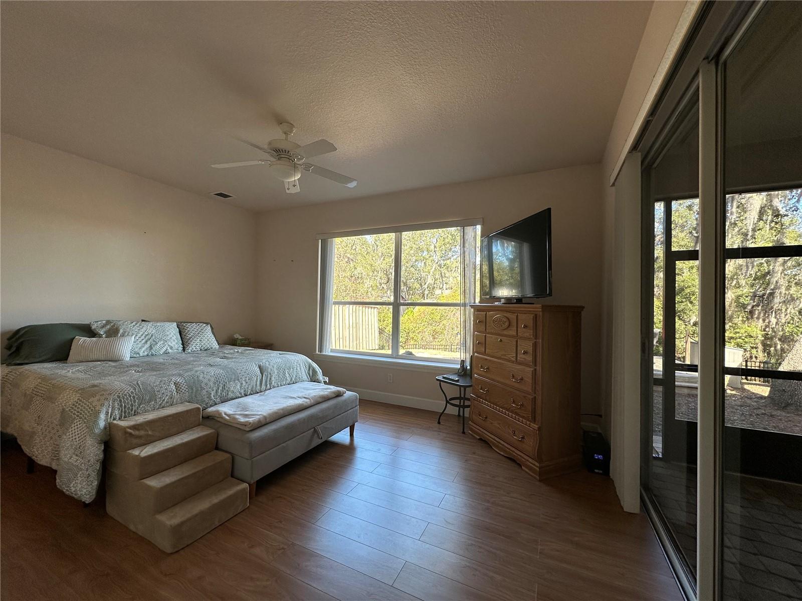 24907 NE 135TH ST, SALT SPRINGS, FL, 32134