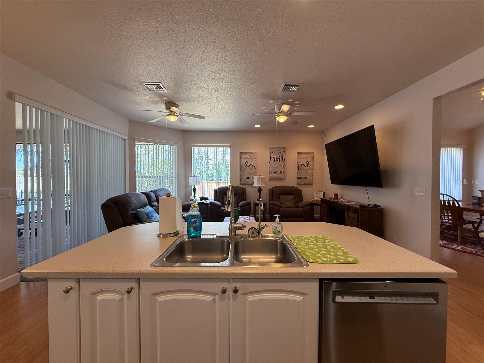 24907 NE 135TH ST, SALT SPRINGS, FL, 32134