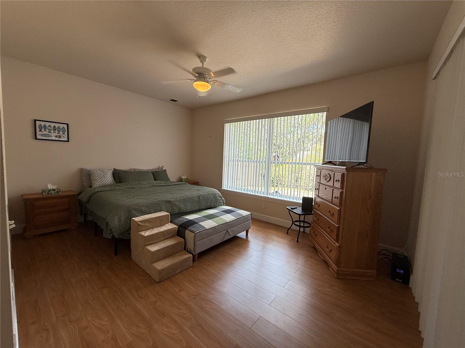 24907 NE 135TH ST, SALT SPRINGS, FL, 32134