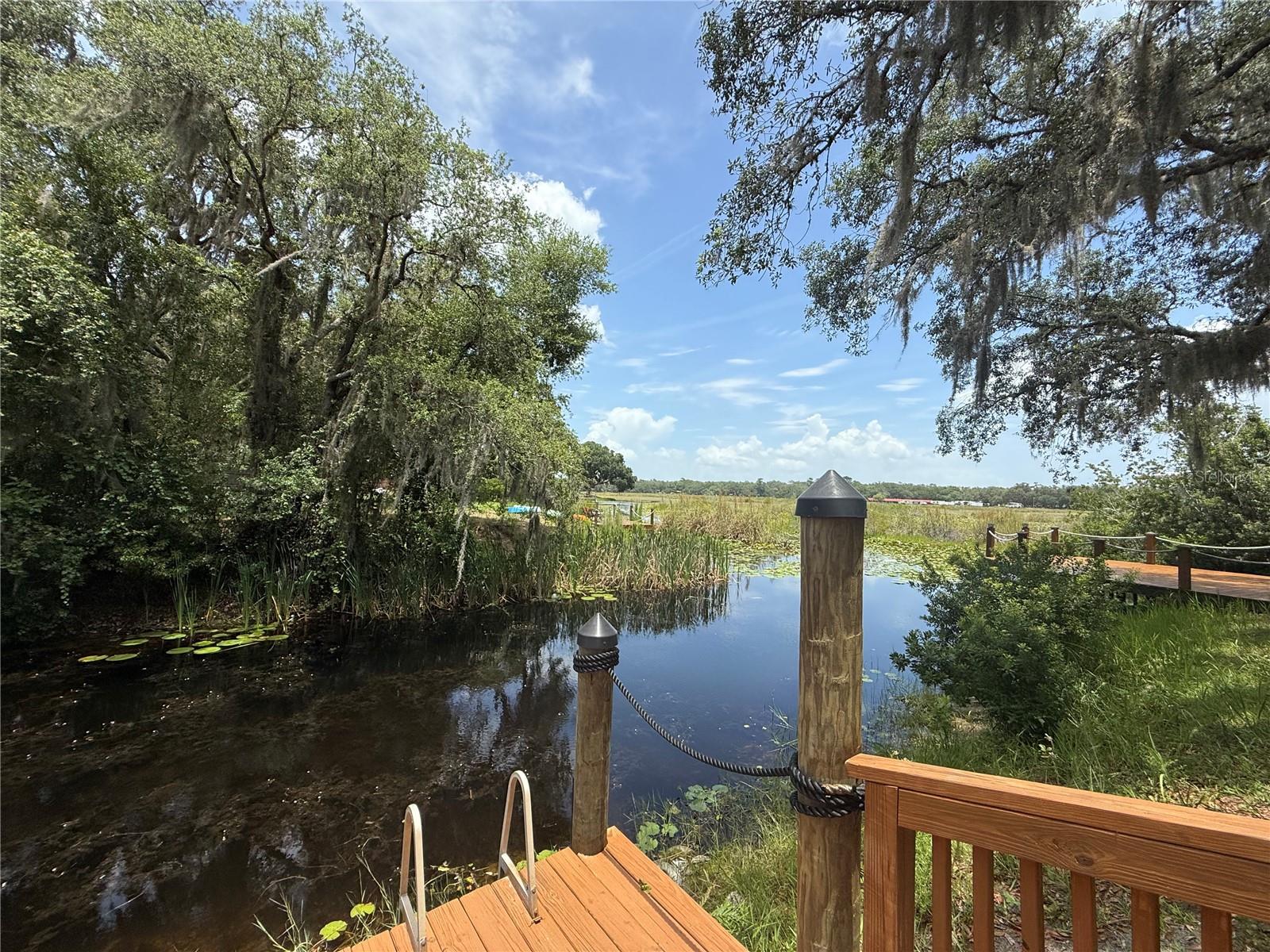 24907 NE 135TH ST, SALT SPRINGS, FL, 32134