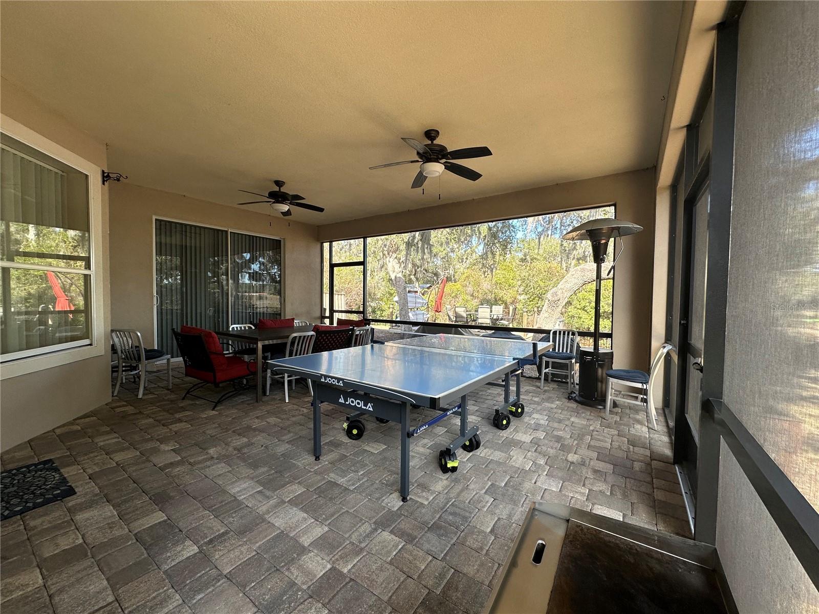 24907 NE 135TH ST, SALT SPRINGS, FL, 32134