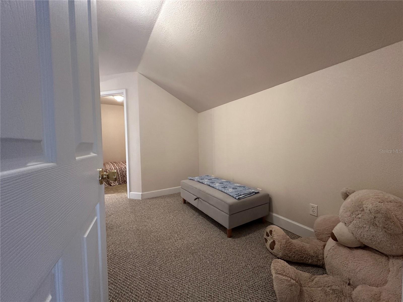 24907 NE 135TH ST, SALT SPRINGS, FL, 32134