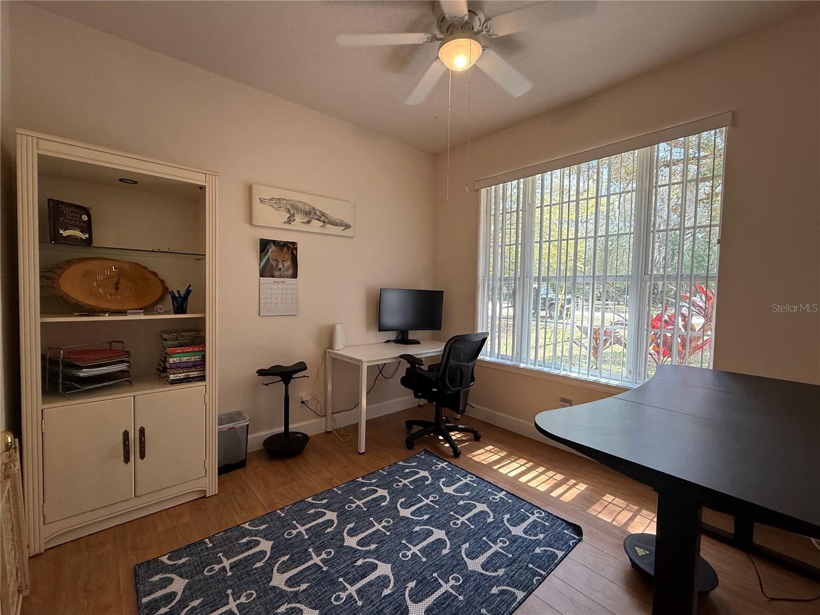 24907 NE 135TH ST, SALT SPRINGS, FL, 32134