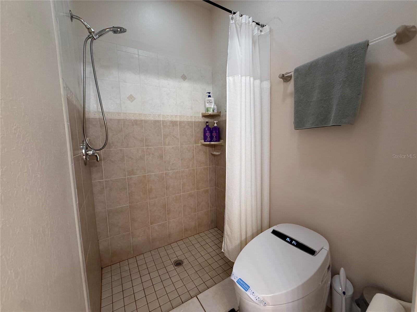 24907 NE 135TH ST, SALT SPRINGS, FL, 32134