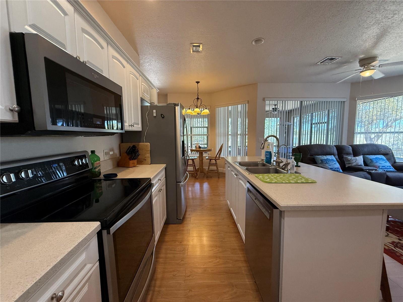 24907 NE 135TH ST, SALT SPRINGS, FL, 32134