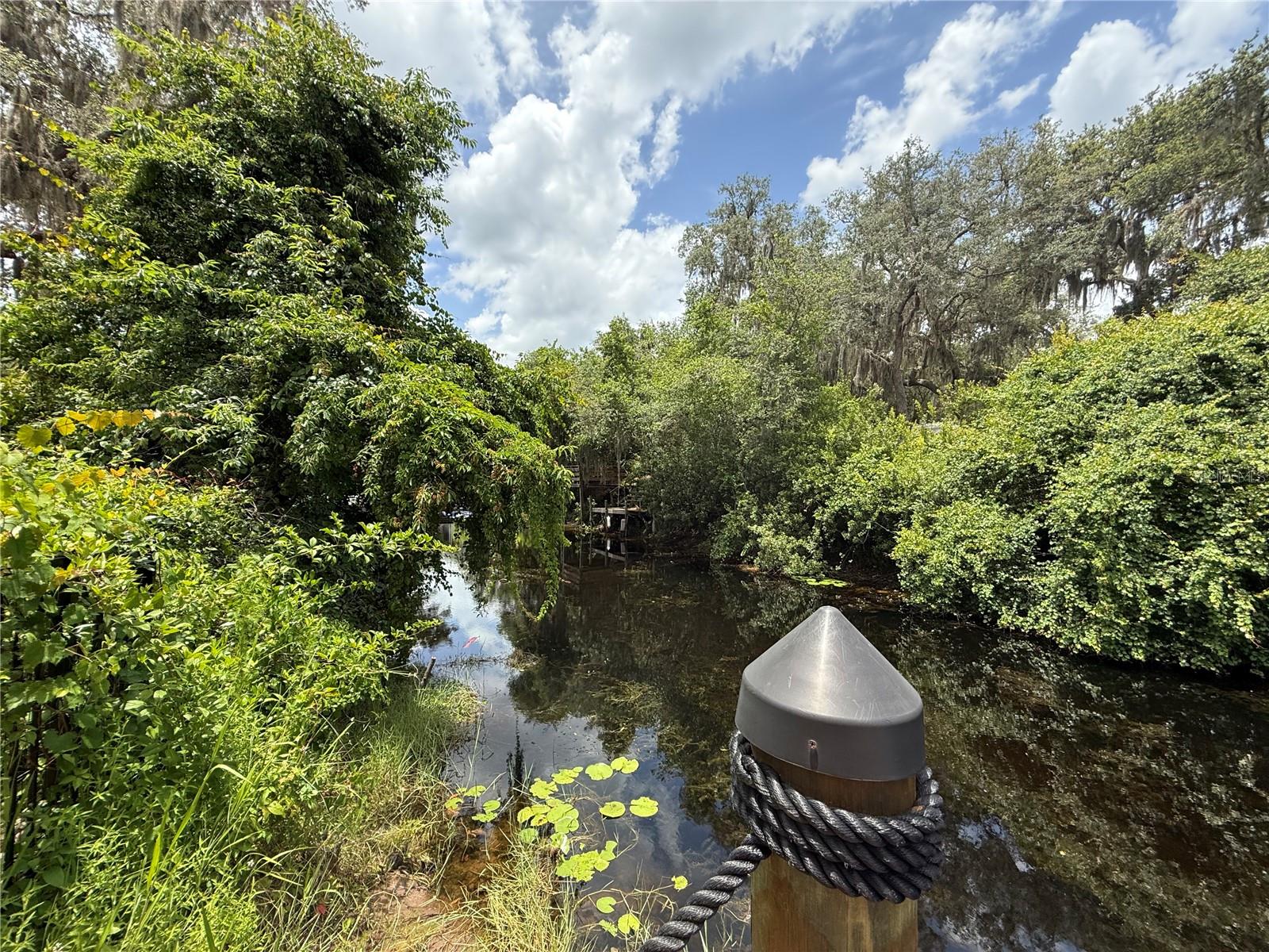 24907 NE 135TH ST, SALT SPRINGS, FL, 32134